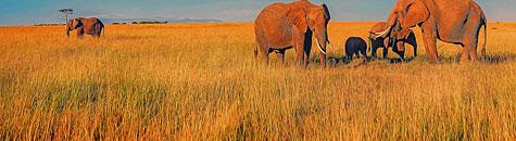 Limpopo Accommodation