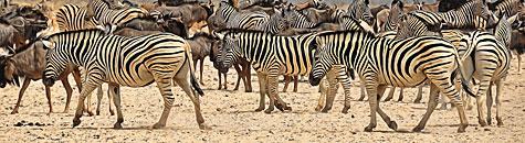 Namibia Accommodation