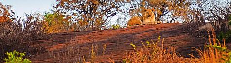 North West Accommodation