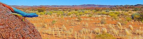 Northern Cape Accommodation